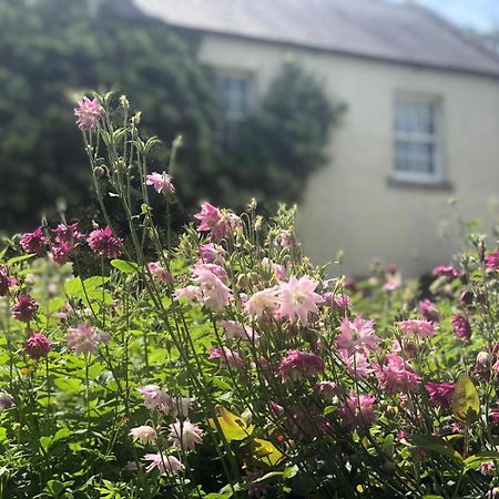 Dalton House Bed And Breakfast Εξωτερικό φωτογραφία