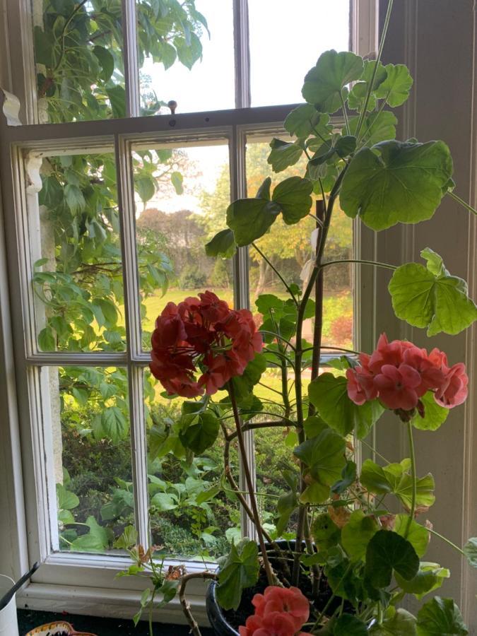 Dalton House Bed And Breakfast Εξωτερικό φωτογραφία
