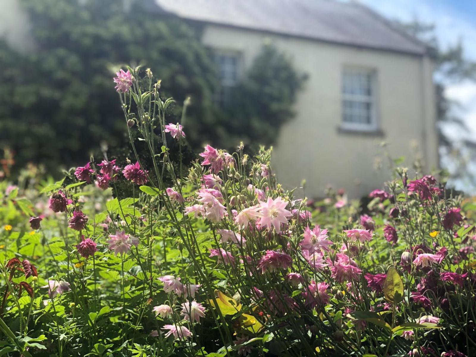 Dalton House Bed And Breakfast Εξωτερικό φωτογραφία